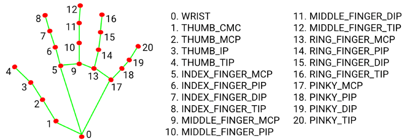 MediaPipe hand landmark map: 0 wrist, 1–4 thumb CMC to tip, 5–8 index, 9–12 middle, 13–16 ring, 17–20 pinky