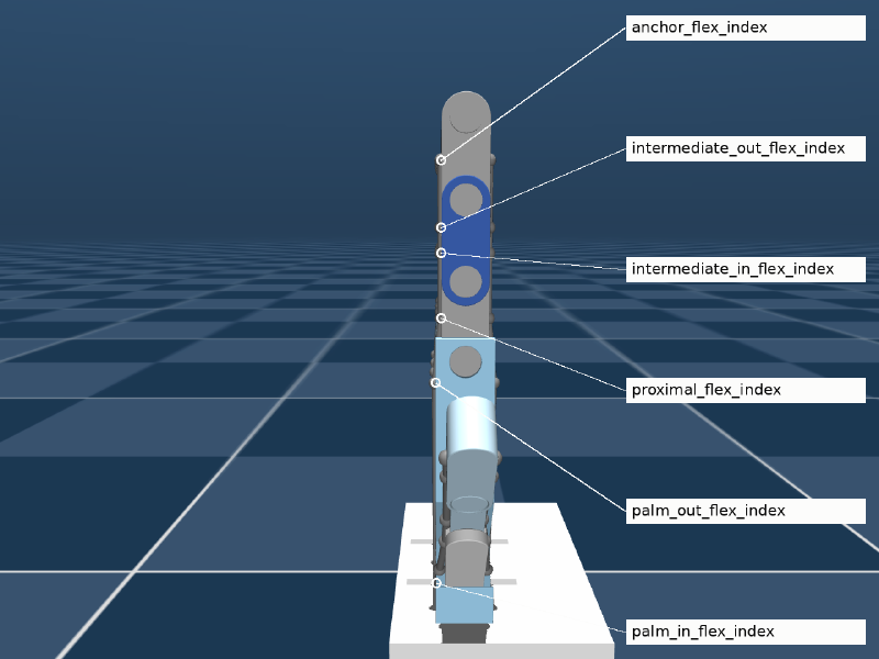 Index flexor via-points labelled